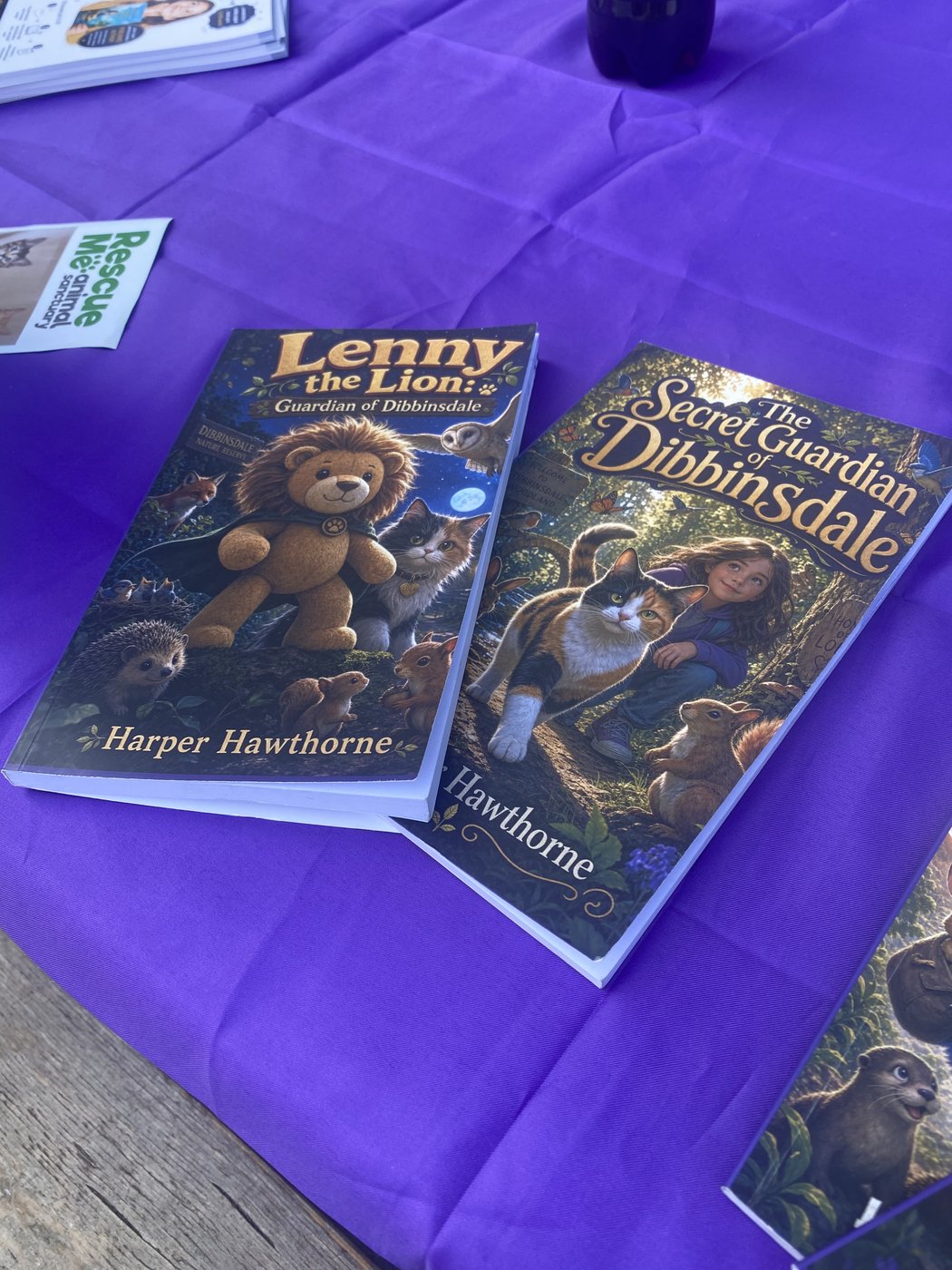Two finished Storywizard paperbacks written by a child, on the stall at the Liverpool Book Festival